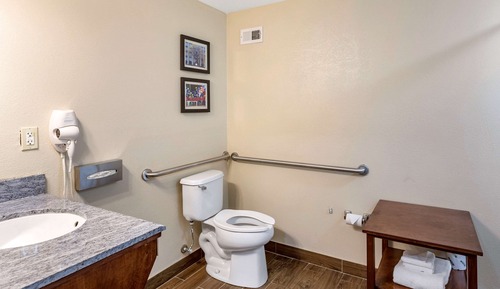 Suite, 1 King Bed with Sofa bed, Accessible, Non Smoking