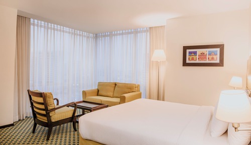 Room, 1 King Bed with Sofa bed
