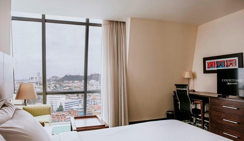 Room, 1 King Bed, City View