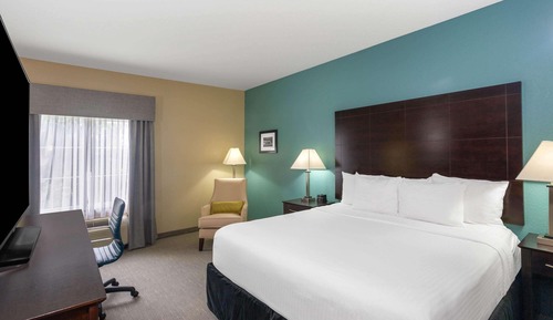 Room, 1 King Bed, Accessible, Non Smoking (Mobility, Roll-In Shower)