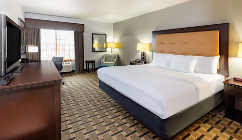 Room, 1 King Bed, Non Smoking
