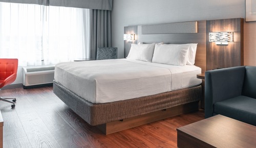 Standard Room, 1 King Bed, Accessible (Roll-In Shower)