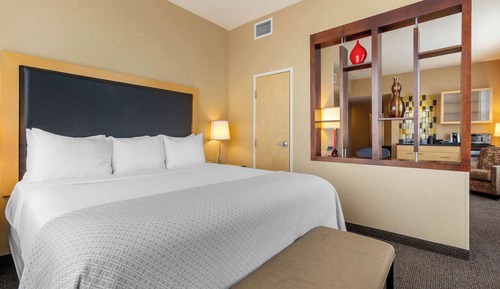 Suite, 1 King Bed with Sofa bed, Non Smoking, Mountain View