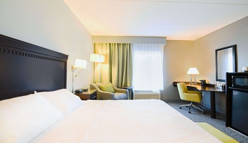 Room, 1 King Bed