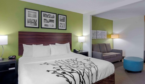 Suite, 1 King Bed, Non Smoking