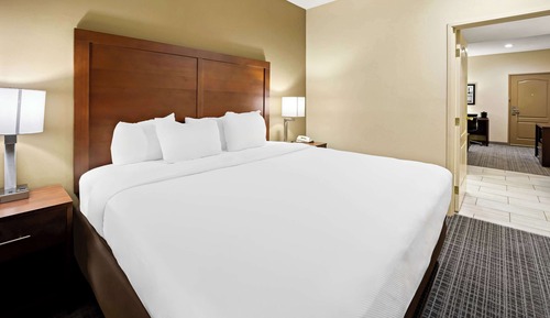 Suite, 1 King Bed, Non Smoking