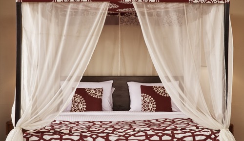 Honeymoon Suite