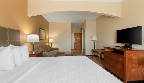 Standard Room, 1 King Bed, Non Smoking, Refrigerator & Microwave (1st Floor;Pet Friendly)