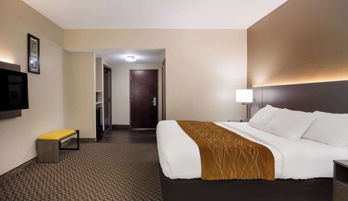 Standard Room, 1 King Bed, Non Smoking