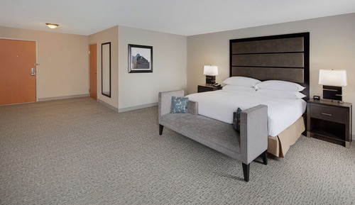 Room, 1 King Bed, Accessible, Bathtub (Mobility & Hearing)