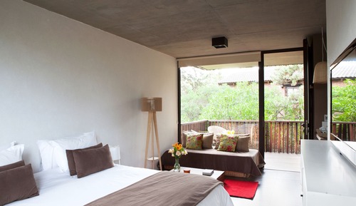 Superior Room, 1 Queen Bed, Refrigerator & Microwave