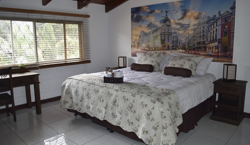 Deluxe Room, 1 King Bed, Private Bathroom (Madrid)