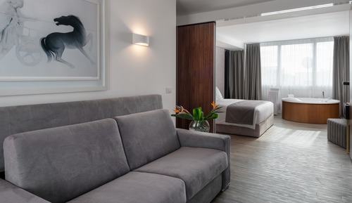 Deluxe Suite, Balcony, Acropolis View