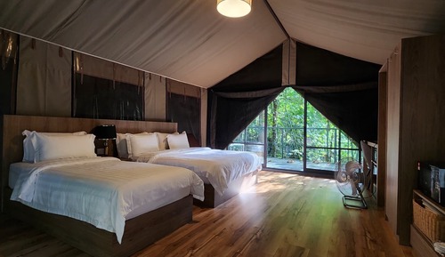 Safari Tent (3 pax)