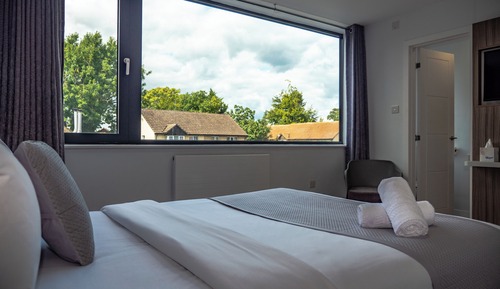 King Room with Air Conditioning