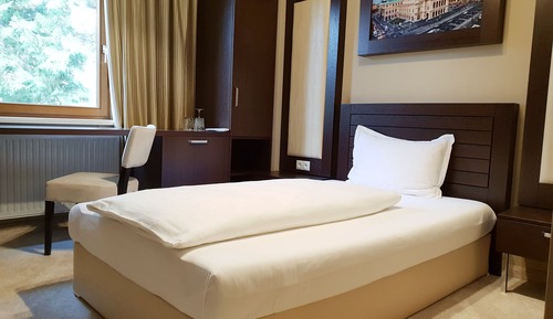 Deluxe Single Room, Multiple Beds, Accessible, Park View