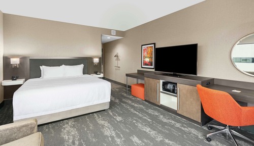 Room, 1 King Bed with Sofa bed, City View