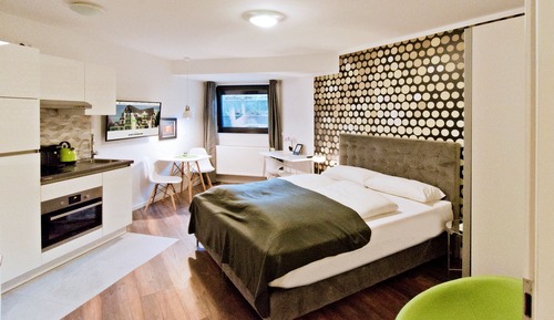 Comfort Studio Apartment - Basement (Basement)