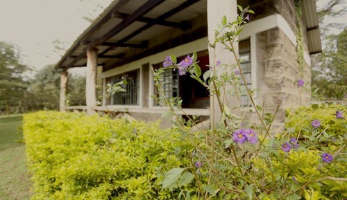 Family Cottage