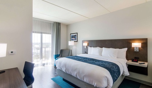 Standard Room, 1 King Bed, Non Smoking