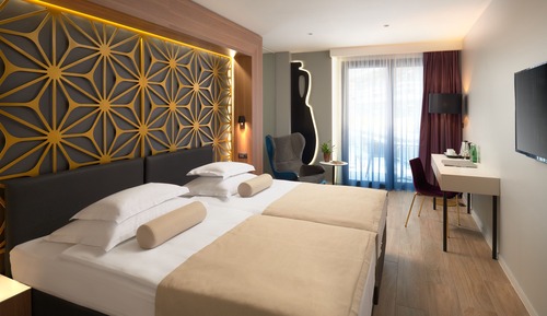 Superior Double or Twin Room