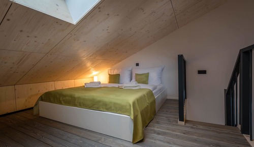 Deluxe Apartment (Loft)