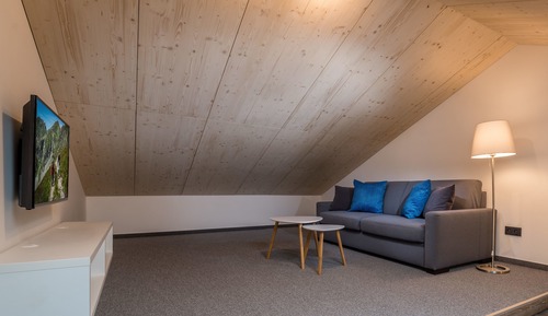 Superior Apartment (Loft)