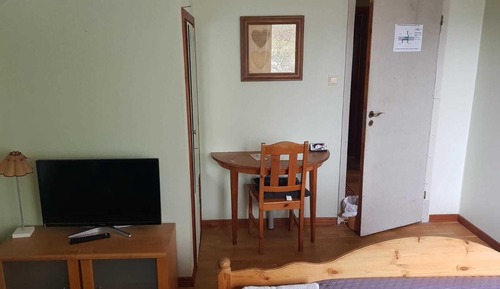 Business Single Room, 1 Queen Bed