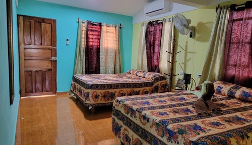 Basic Double or Twin Room, Garden View