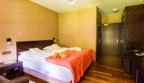 Standard Double Room, Mountain View