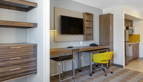 Deluxe Suite, 1 King Bed with Sofa bed, Accessible, Non Smoking (Roll-In Shower, Efficiency)