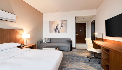 Room, 1 King Bed with Sofa bed