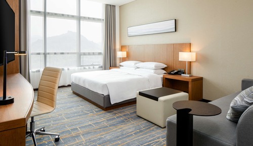 Room, 1 King Bed with Sofa bed, View