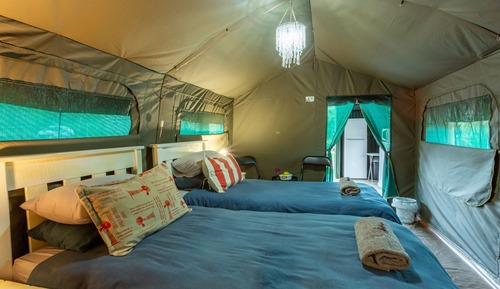 Tent (Flambojant)