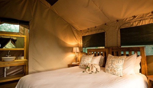 Bush Willow Tent