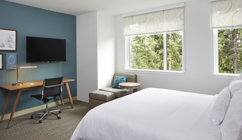 Room, 1 King Bed, Non Smoking