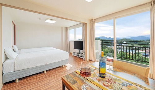 Standard Mountain View Condo (2 people)
