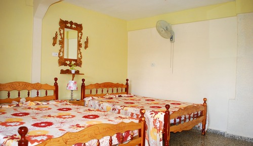 Basic Double or Twin Room