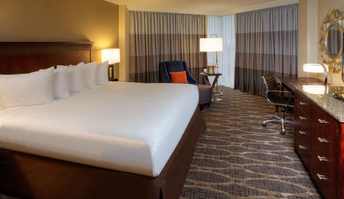 Room, 1 King Bed