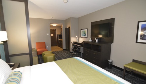 Suite, 1 King Bed with Sofa bed, Non Smoking, Kitchen (with Sofabed)