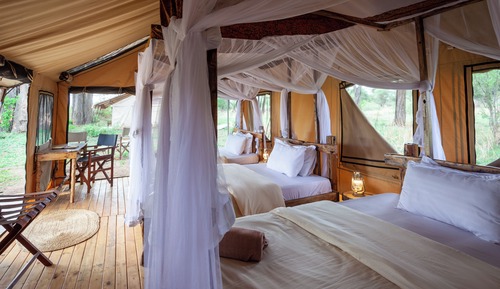 Triple Room