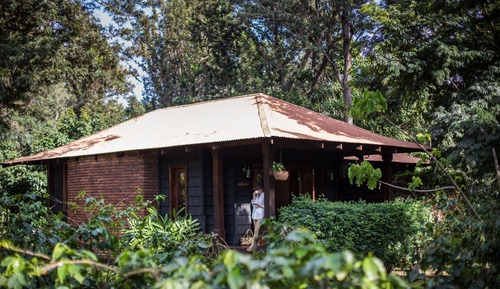 Suite (Plantation)