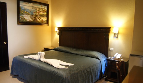 Standard Single Room, 1 Double Bed