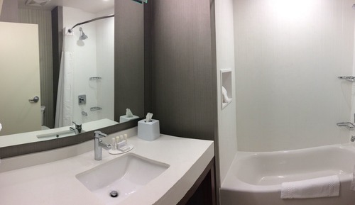 Room, 1 King Bed with Sofa bed (Mobility/Hearing Accessible, Tub)