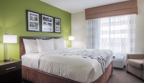 Standard Room, 1 King Bed, Non Smoking