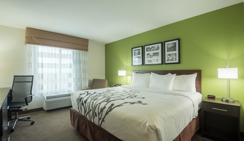 Room, 1 King Bed, Accessible, Non Smoking