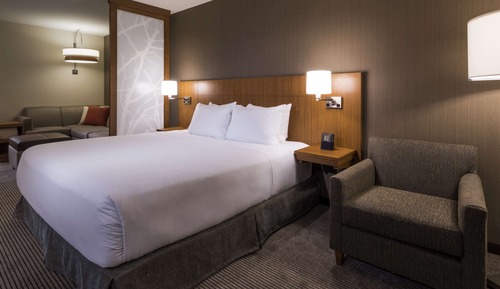 Room, 1 King Bed with Sofa bed, Accessible (with Shower)