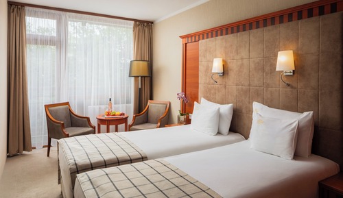 Standard Double Room, Mountain View