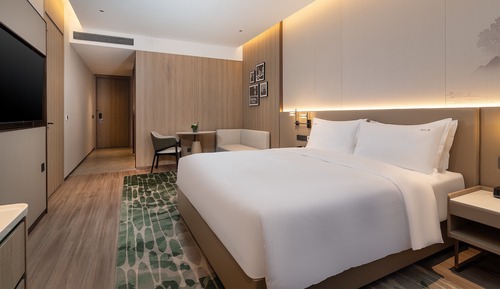 Premium Room, 1 King Bed, Accessible