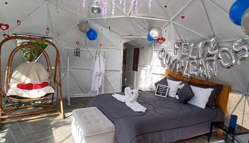 Room, Pets Allowed, Mountain View